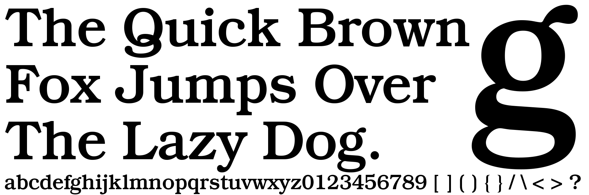 A specimen showing one typeface across several weights and sizes